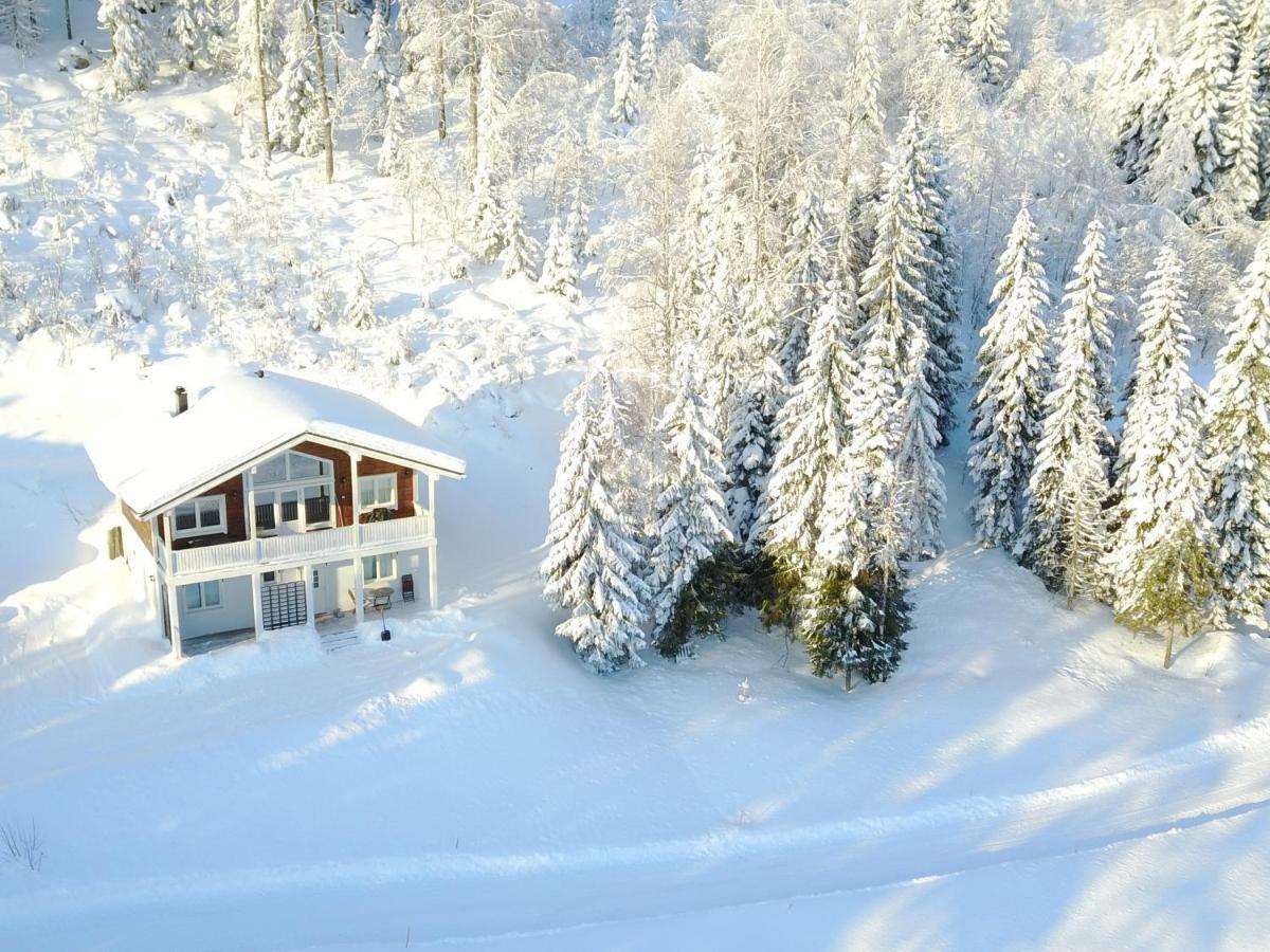 Karkutahko Villas Ruokonen Εξωτερικό φωτογραφία